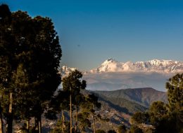 Almora Tour Packages