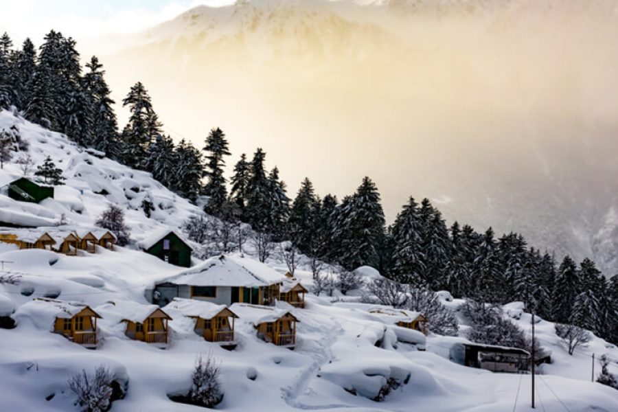 Auli Tour Packages