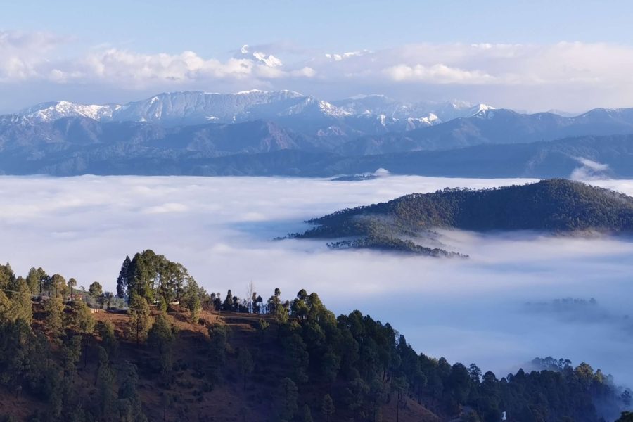 Kausani Tour Packages