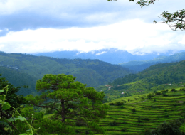 Nainital, Ranikhet & Jim Corbett