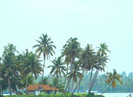 Cochin Munnar Alleppey Kovallam Kanyakumari Tour Package