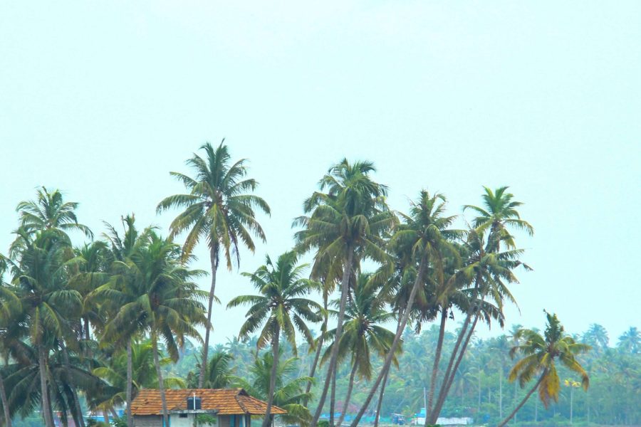 Cochin Munnar Alleppey Kovallam Kanyakumari Tour Package