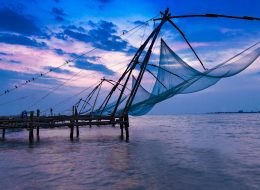 Cochin Munnar Thekkady Alleppey Kovalam Tour Package