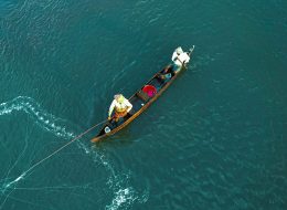 Cochin Munnar Thekkady Alleppey Tour Package