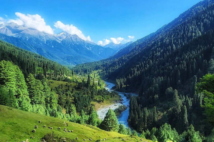 Experiential Kashmir Package