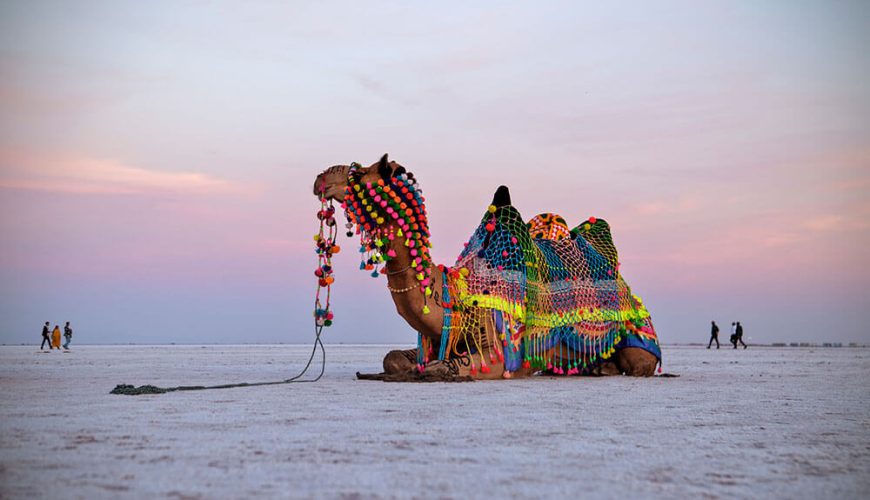 Kutch desert Safari