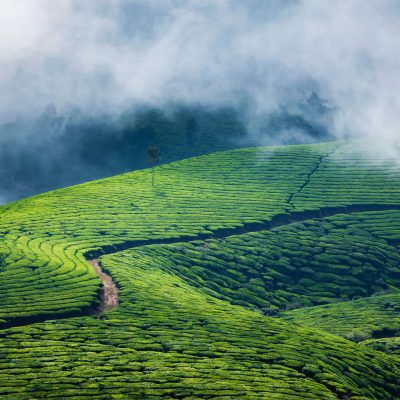 Munnar