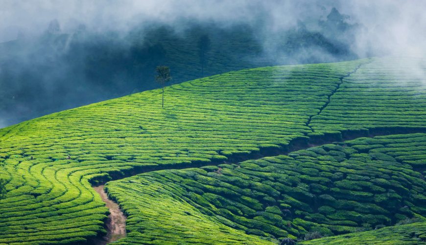 Munnar package