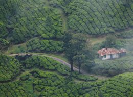 Munnar Alleppey Kovallam Tour Package