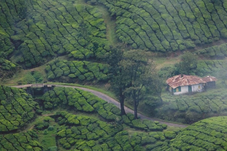 Munnar Alleppey Kovallam Tour Package