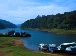 Munnar Thekkady Tour Package