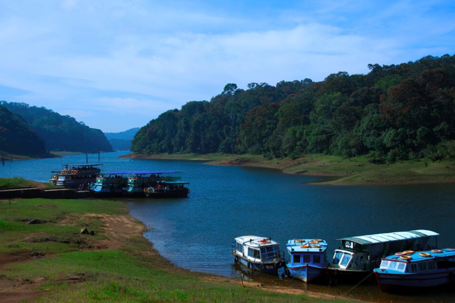 Munnar Thekkady Tour Package