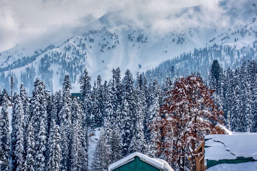 Premium Kashmir with Gulmarg Excursion