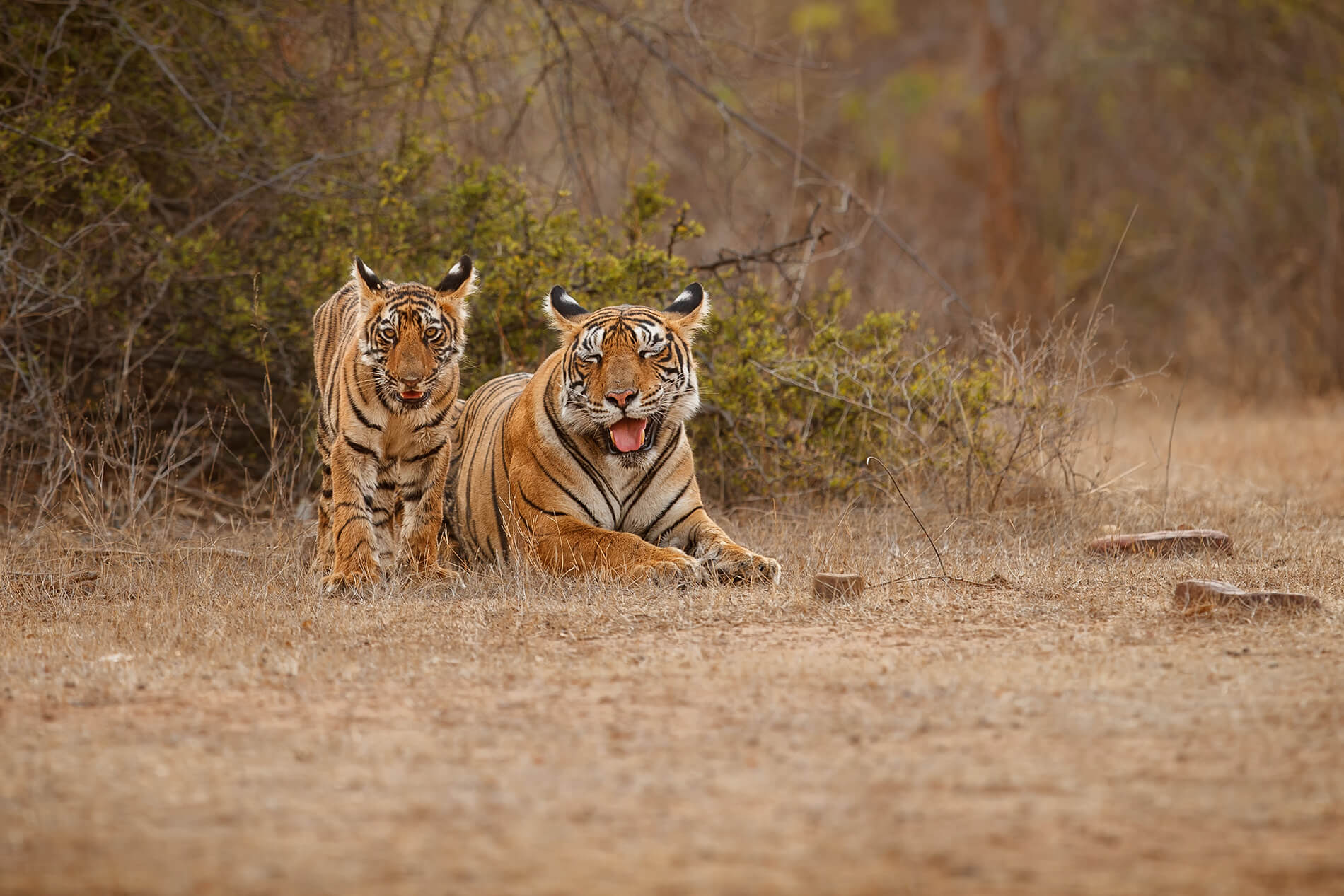 West Bengal