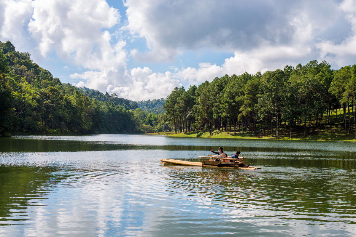 Best Kerala Tour Packages for 2025 Best Kerala Tour Packages for 2025