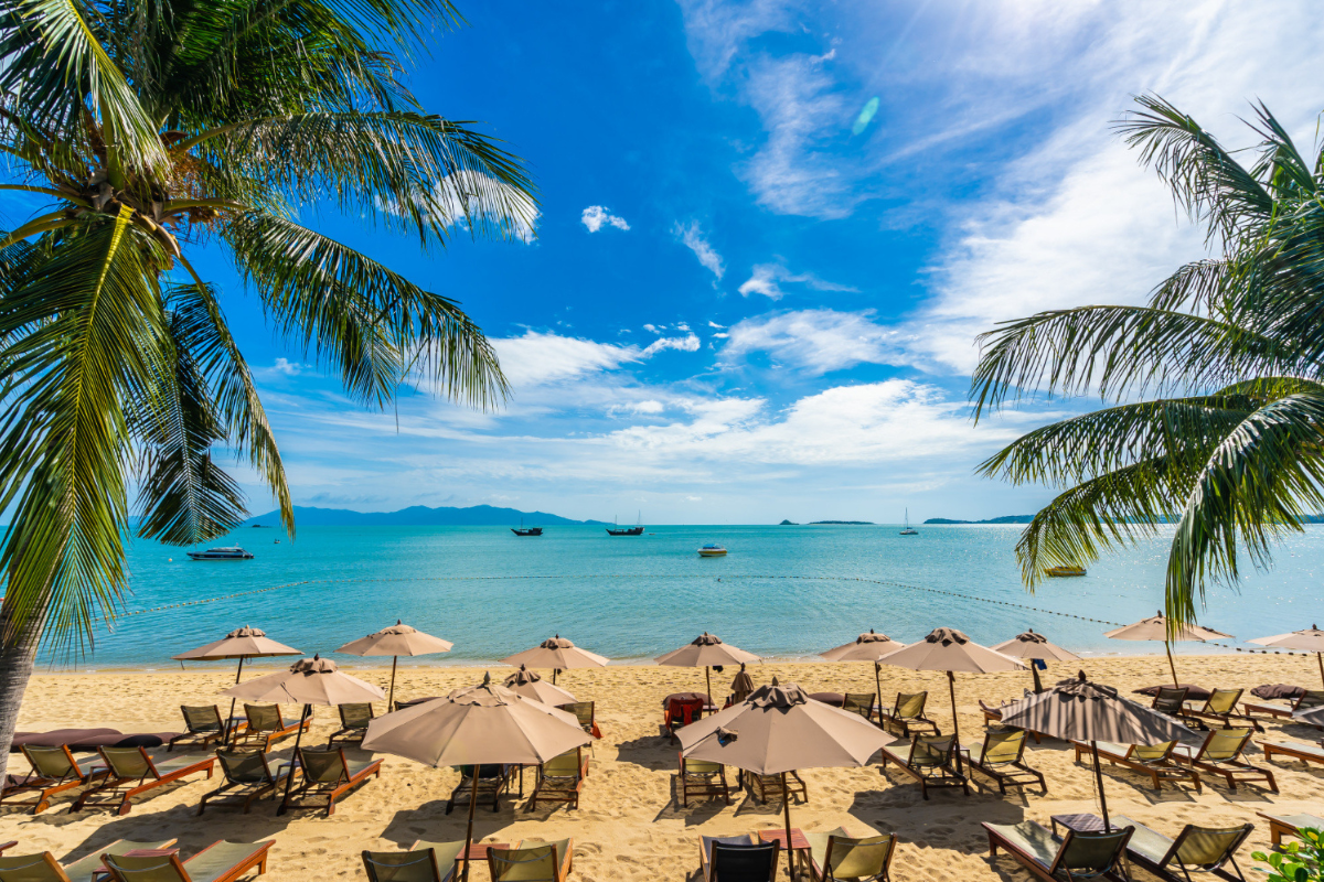 Best Kerala Tour Packages for 2025 Best Kerala Tour Packages for 2025