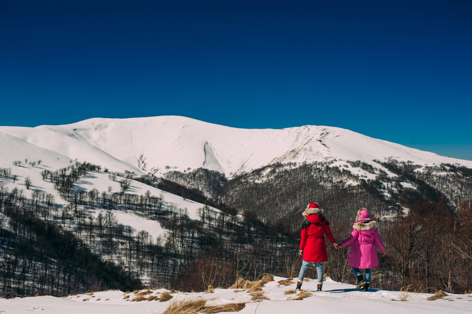 Chandigarh Shimla Tour Package